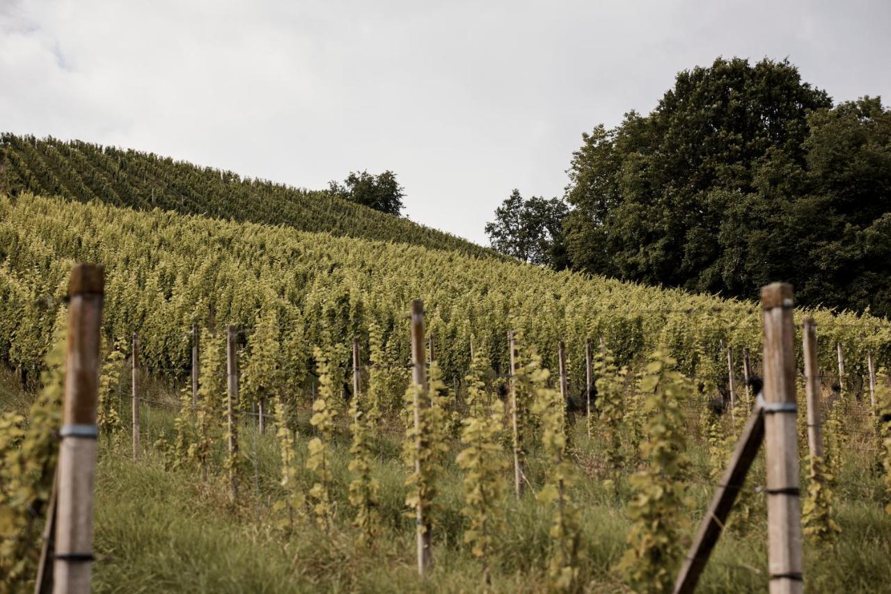 Отель Bio Weingut Matthias Schnabl Гамлиц Экстерьер фото